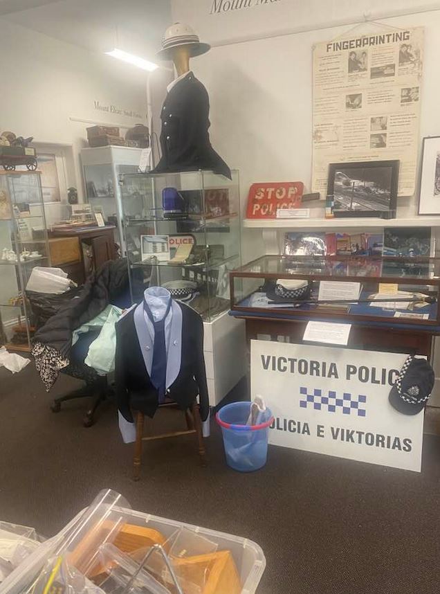 556006842 1259106649348779 3166241665646256408 n